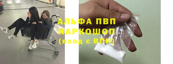 шишки Армянск